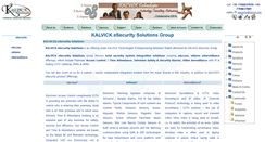 Desktop Screenshot of esurveillance.kalvick.com